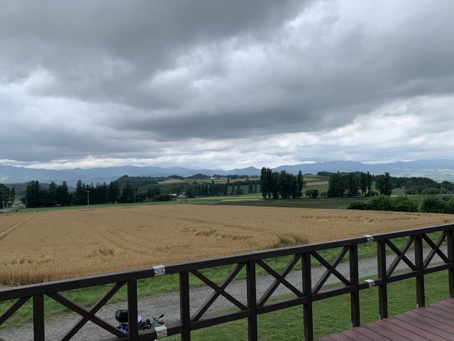 癒しを求めて……