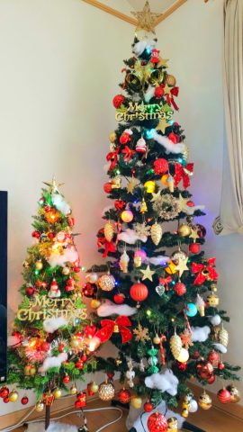 クリスマスツリー🎄飾りました✨