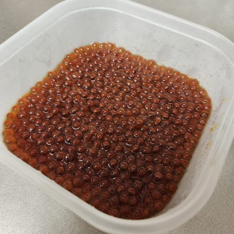 『味覚の秋と言えば、いくらの醤油漬け』