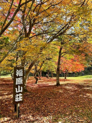 秋と言えば【紅葉】！
