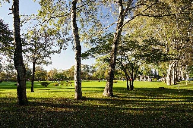 【緑ヶ丘公園】