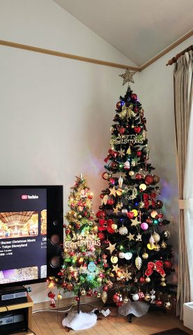【🎅一足お先にクリスマス🎄気分✨】
